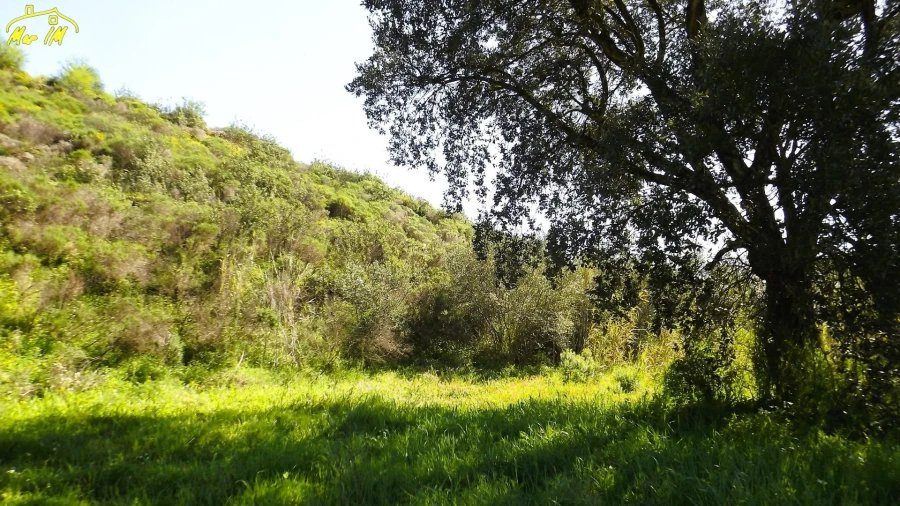 Terreno Agricola ou Rústico para Venda em Castro Marim Foto 2