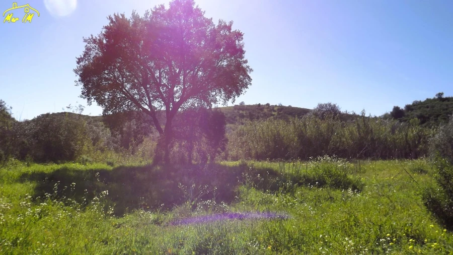 Terreno Agricola ou Rústico para Venda em Castro Marim Foto 20