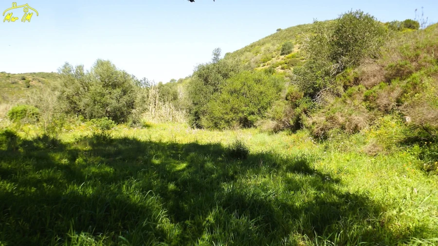 Terreno Agricola ou Rústico para Venda em Castro Marim Foto 5