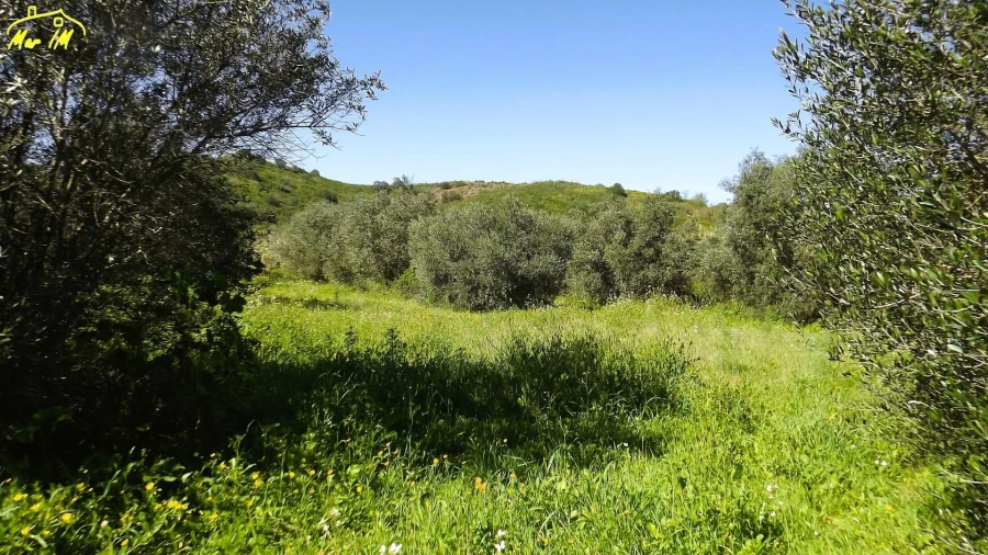 Terreno Agricola ou Rústico para Venda em Castro Marim Foto 6