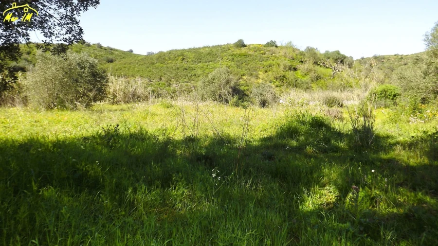 Terreno Agricola ou Rústico para Venda em Castro Marim Foto 7