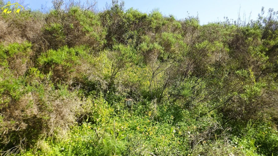 Terreno Agricola ou Rústico para Venda em Castro Marim Foto 8