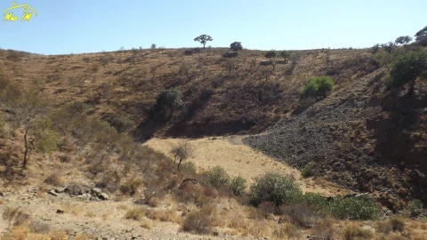 Terreno Agricola ou Rústico para Venda em Castro Marim