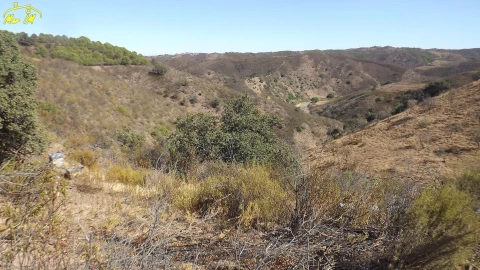 Terreno Agricola ou Rústico para Venda em Castro Marim