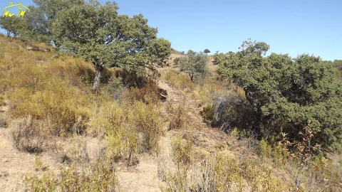 Terreno Agricola ou Rústico para Venda em Castro Marim