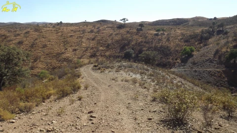 Terreno Agricola ou Rústico para Venda em Castro Marim