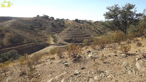 Terreno Agricola ou Rústico para Venda em Castro Marim