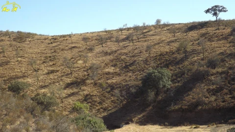 Terreno Agricola ou Rústico para Venda em Castro Marim