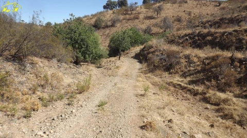 Terreno Agricola ou Rústico para Venda em Castro Marim
