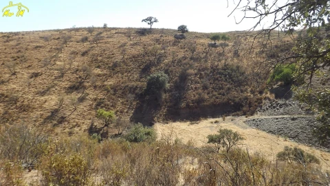 Terreno Agricola ou Rústico para Venda em Castro Marim
