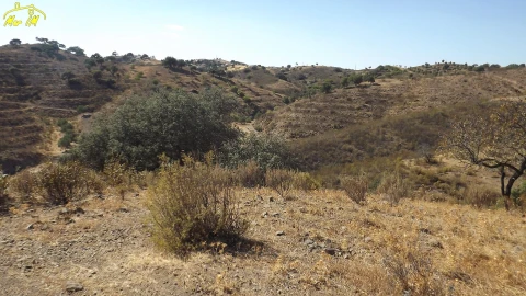 Terreno Agricola ou Rústico para Venda em Castro Marim