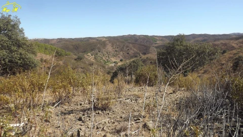 Terreno Agricola ou Rústico para Venda em Castro Marim