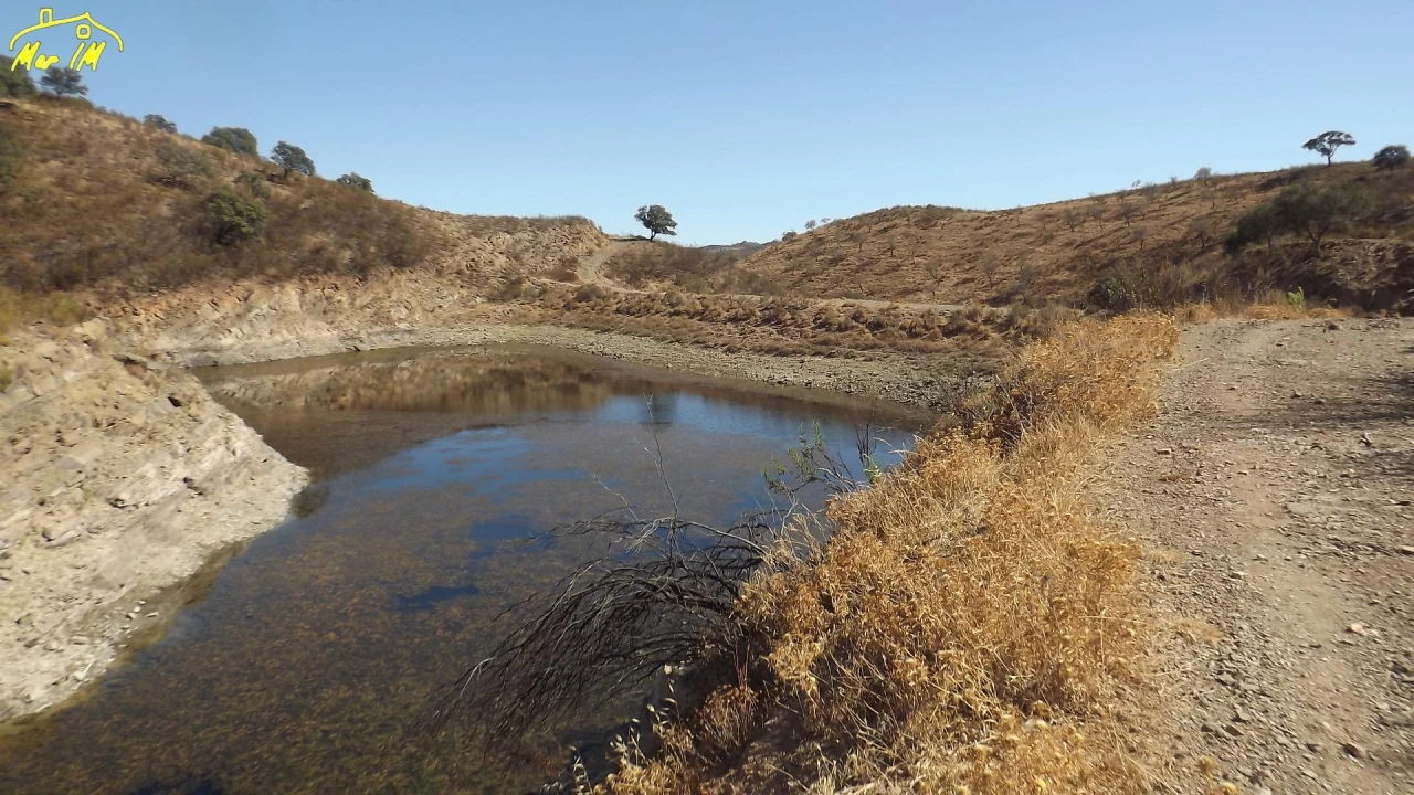 Terreno Agricola ou Rústico para Venda em Castro Marim Foto 12