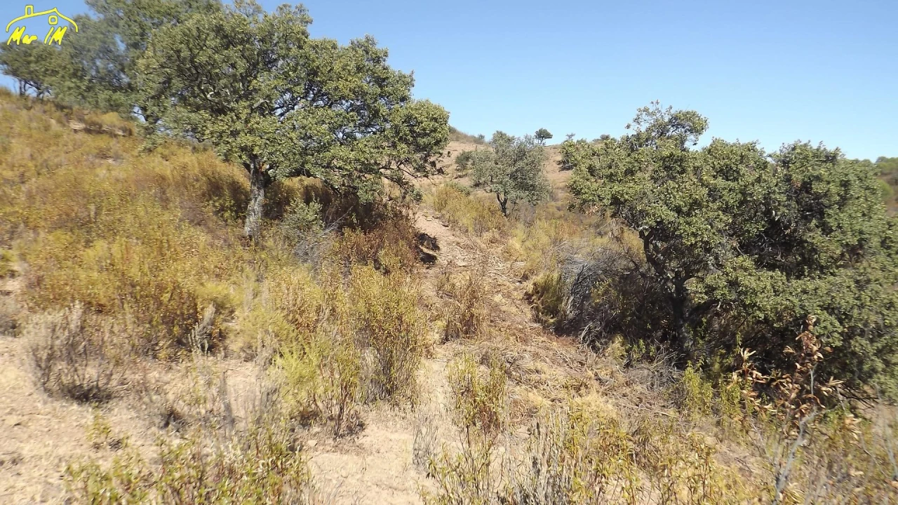 Terreno Agricola ou Rústico para Venda em Castro Marim Foto 21