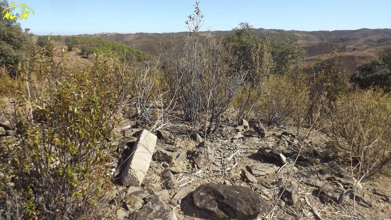 Terreno Agricola ou Rústico para Venda em Castro Marim Foto 29