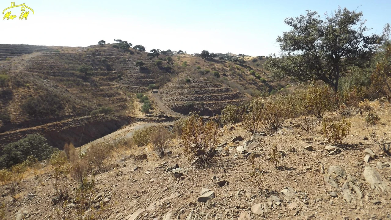 Terreno Agricola ou Rústico para Venda em Castro Marim Foto 35