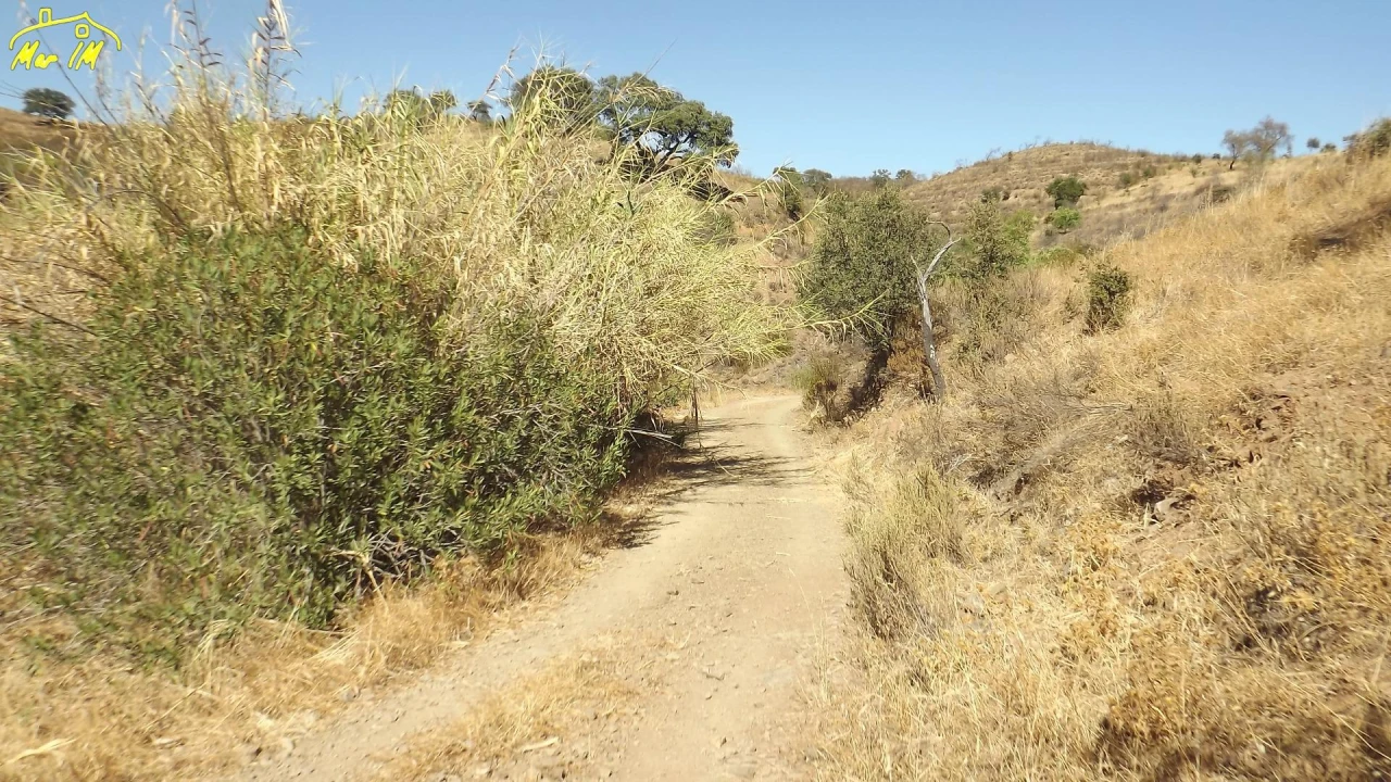 Terreno Agricola ou Rústico para Venda em Castro Marim Foto 10