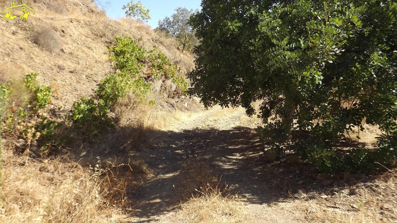 Terreno Agricola ou Rústico para Venda em Castro Marim Foto 11