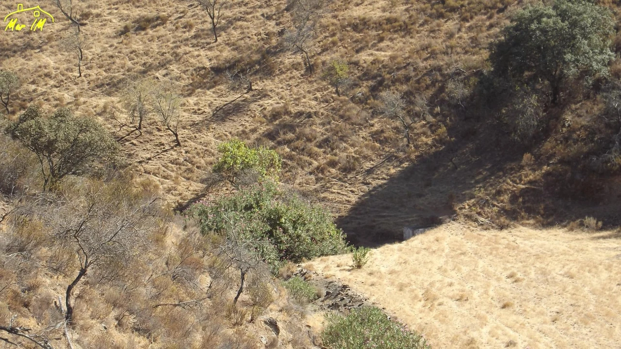 Terreno Agricola ou Rústico para Venda em Castro Marim Foto 16