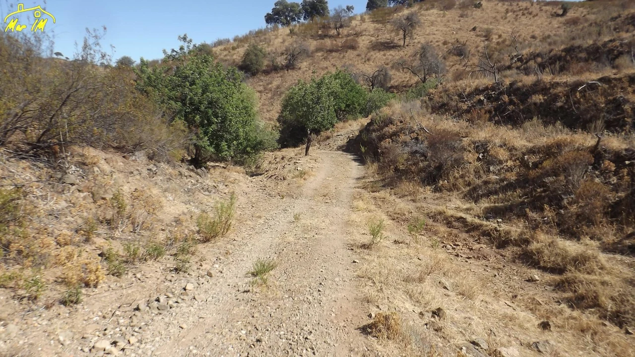 Terreno Agricola ou Rústico para Venda em Castro Marim Foto 6