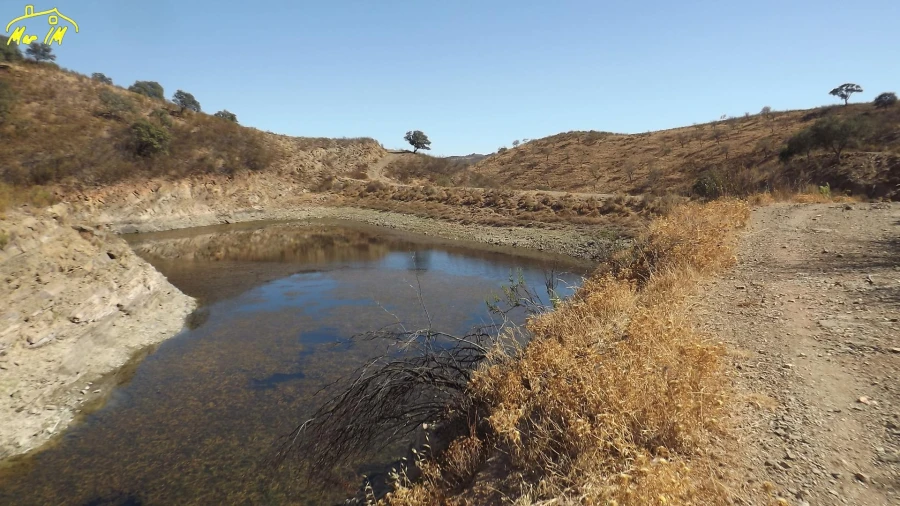 Terreno Agricola ou Rústico para Venda em Castro Marim Foto 12