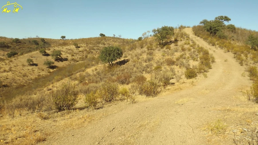 Terreno Agricola ou Rústico para Venda em Castro Marim Foto 26