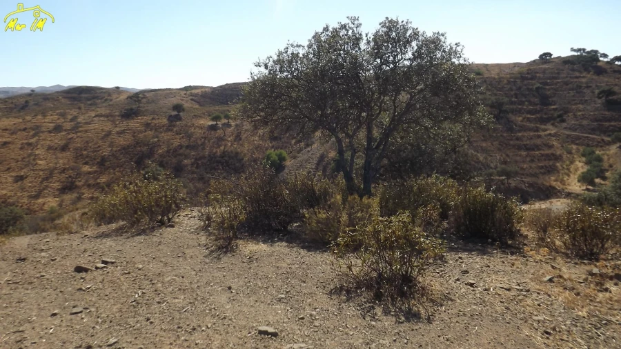 Terreno Agricola ou Rústico para Venda em Castro Marim Foto 28