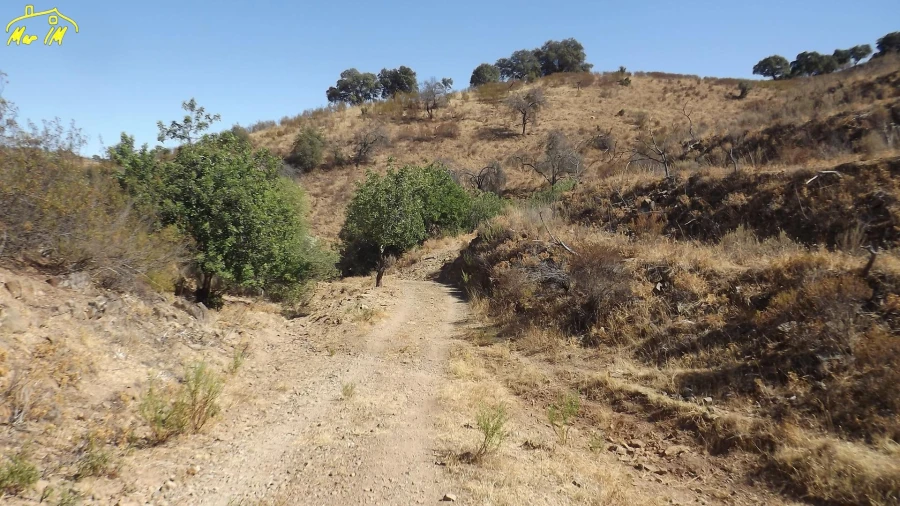 Terreno Agricola ou Rústico para Venda em Castro Marim Foto 8