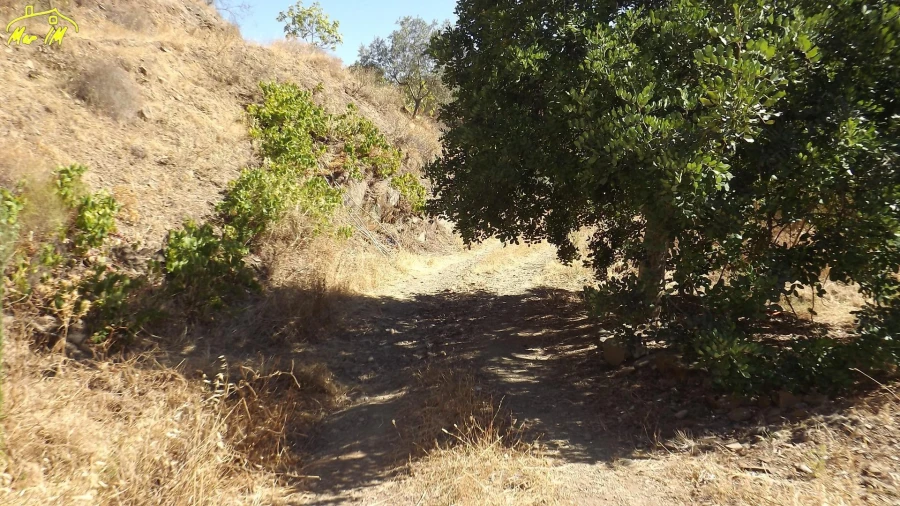 Terreno Agricola ou Rústico para Venda em Castro Marim Foto 11
