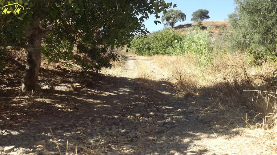 Terreno Agricola ou Rústico para Venda em Castro Marim Foto 12