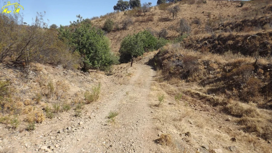 Terreno Agricola ou Rústico para Venda em Castro Marim Foto 6