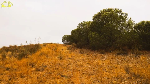 Terreno Agricola ou Rústico para Venda em Castro Marim