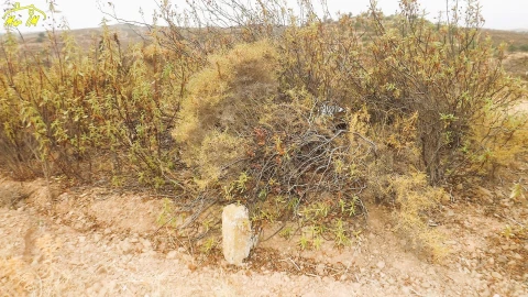 Terreno Agricola ou Rústico para Venda em Castro Marim