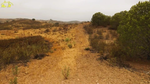 Terreno Agricola ou Rústico para Venda em Castro Marim