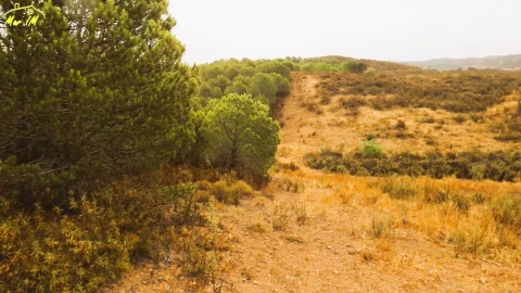 Terreno Agricola ou Rústico para Venda em Castro Marim