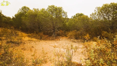 Terreno Agricola ou Rústico para Venda em Castro Marim