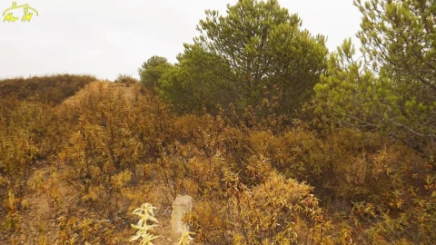 Terreno Agricola ou Rústico para Venda em Castro Marim