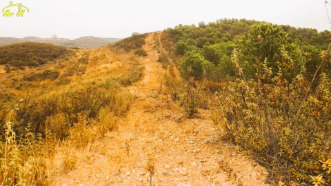 Terreno Agricola ou Rústico para Venda em Castro Marim
