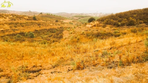 Terreno Agricola ou Rústico para Venda em Castro Marim