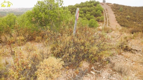 Terreno Agricola ou Rústico para Venda em Castro Marim