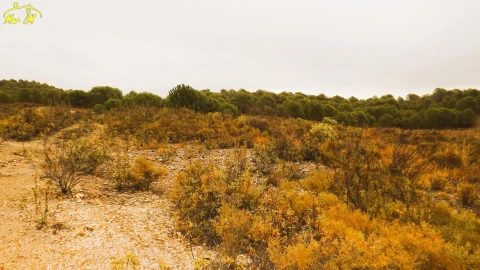 Terreno Agricola ou Rústico para Venda em Castro Marim