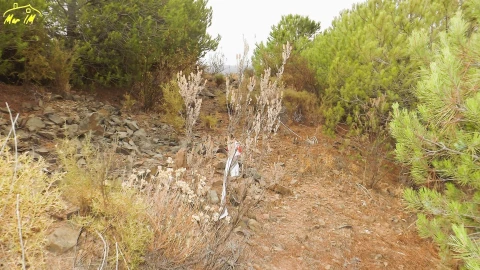 Terreno Agricola ou Rústico para Venda em Castro Marim