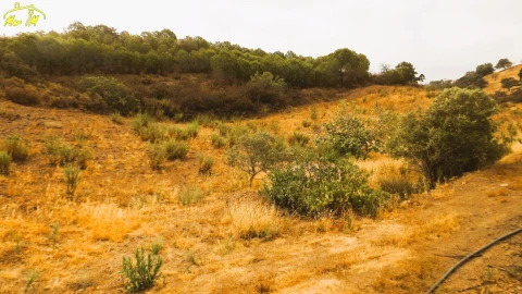 Terreno Agricola ou Rústico para Venda em Castro Marim
