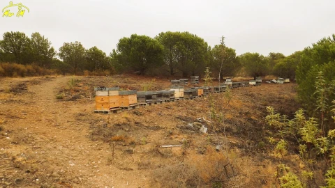 Terreno Agricola ou Rústico para Venda em Castro Marim