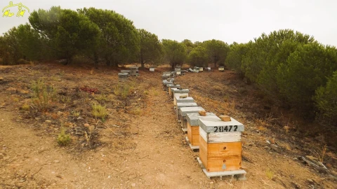 Terreno Agricola ou Rústico para Venda em Castro Marim