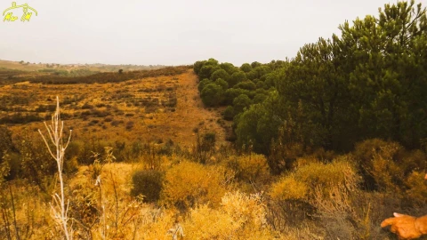 Terreno Agricola ou Rústico para Venda em Castro Marim