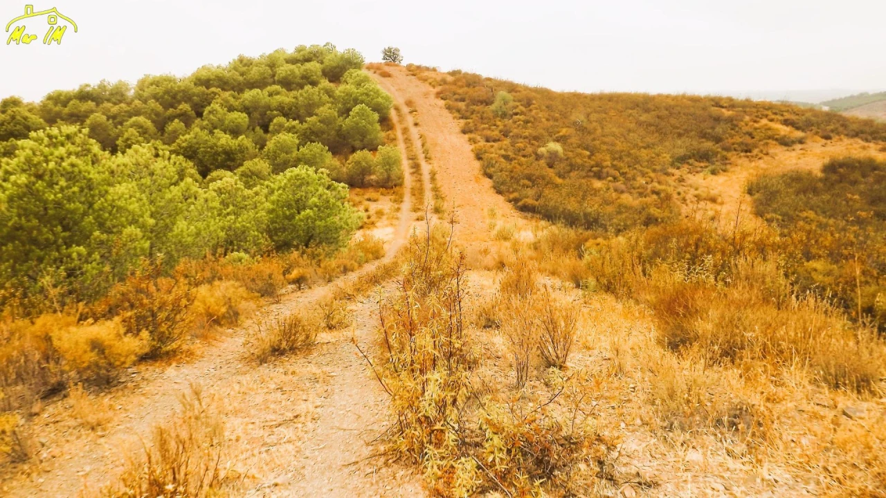 Terreno Agricola ou Rústico para Venda em Castro Marim Foto 1