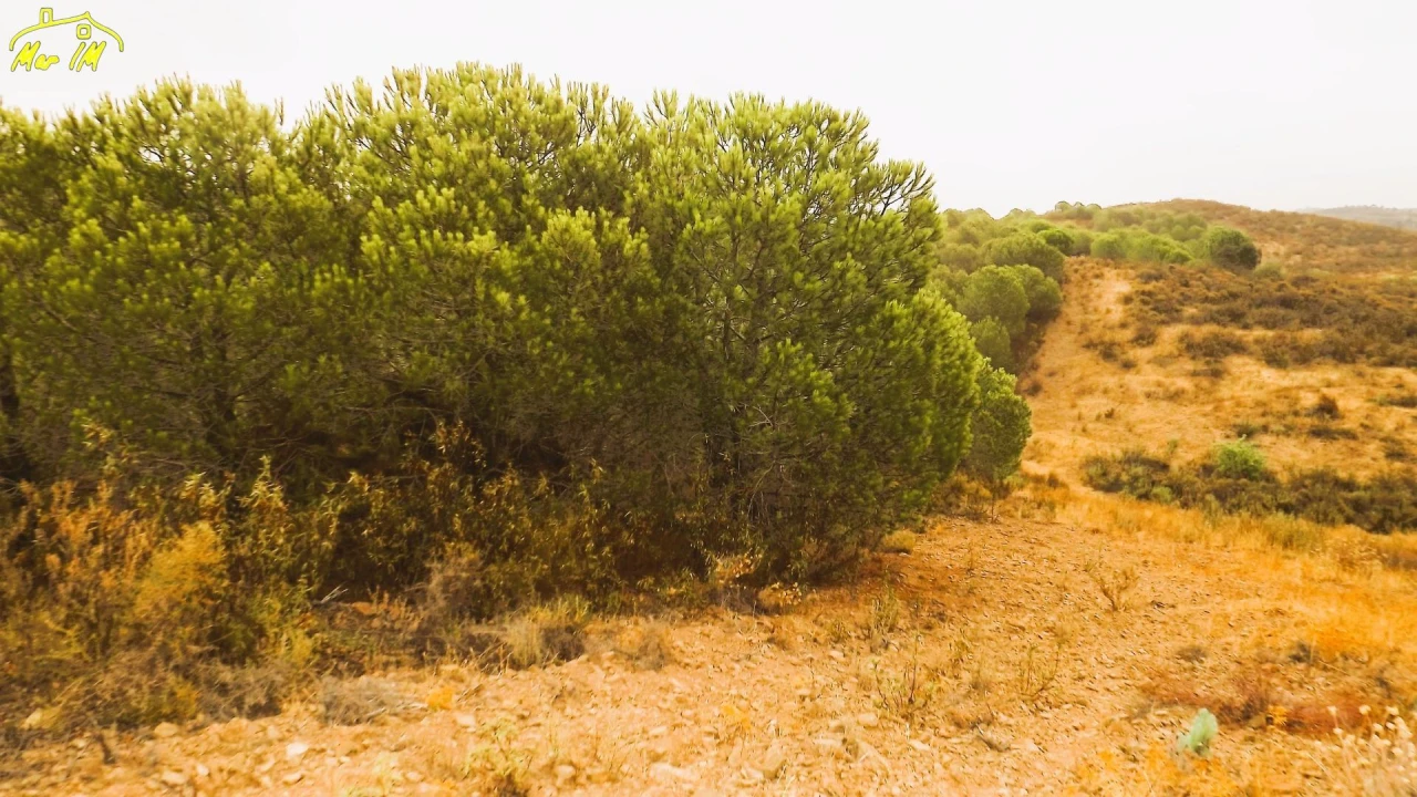 Terreno Agricola ou Rústico para Venda em Castro Marim Foto 16
