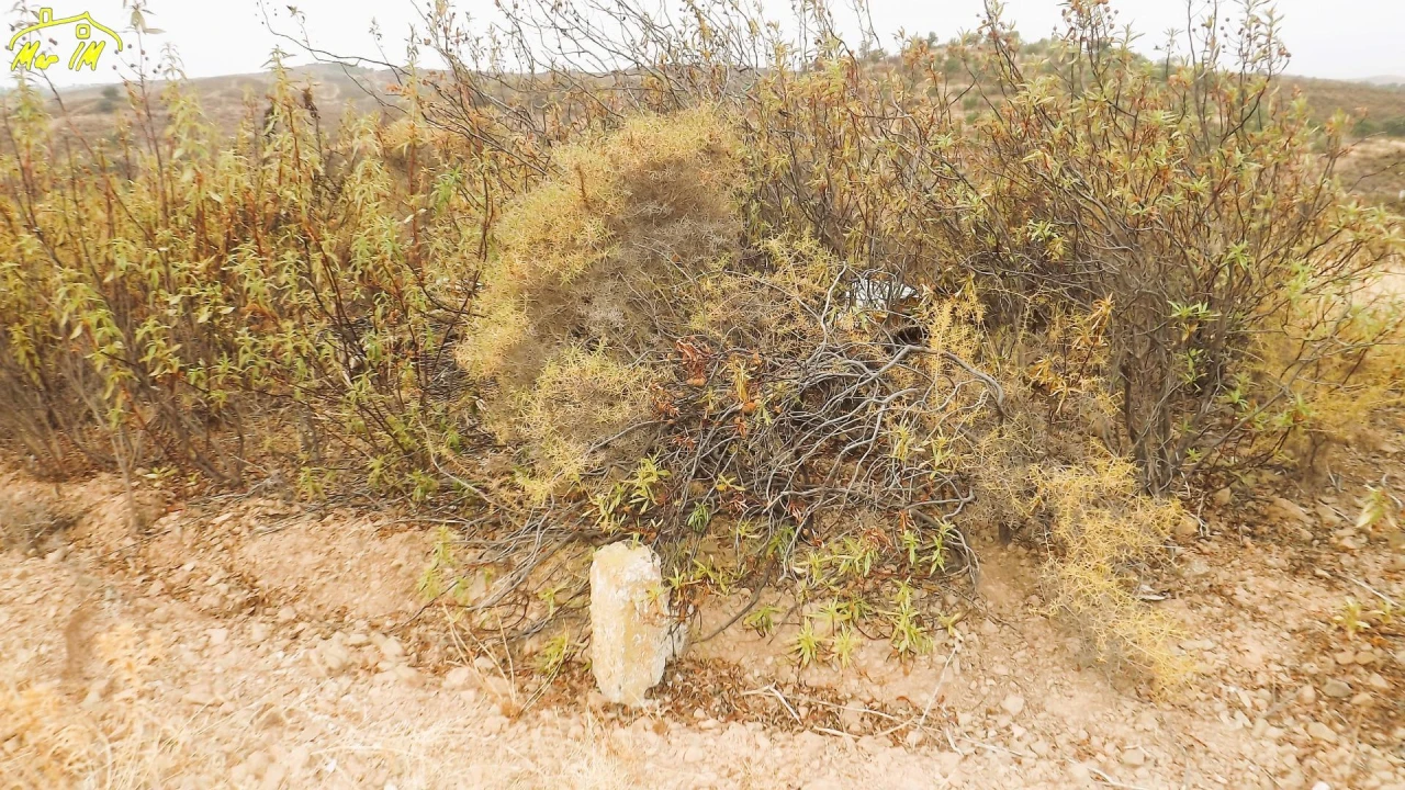 Terreno Agricola ou Rústico para Venda em Castro Marim Foto 17