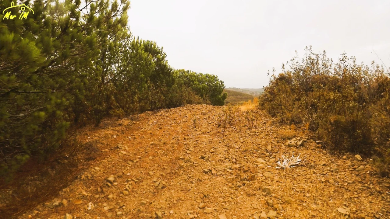 Terreno Agricola ou Rústico para Venda em Castro Marim Foto 19